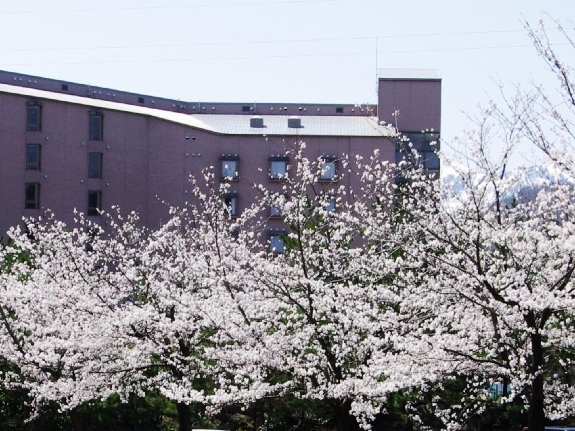 Hotel Kunitomi Annex - Vacation Stay 12072V Itoigawa Zewnętrze zdjęcie